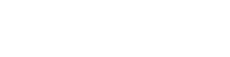 Virgin Mobile